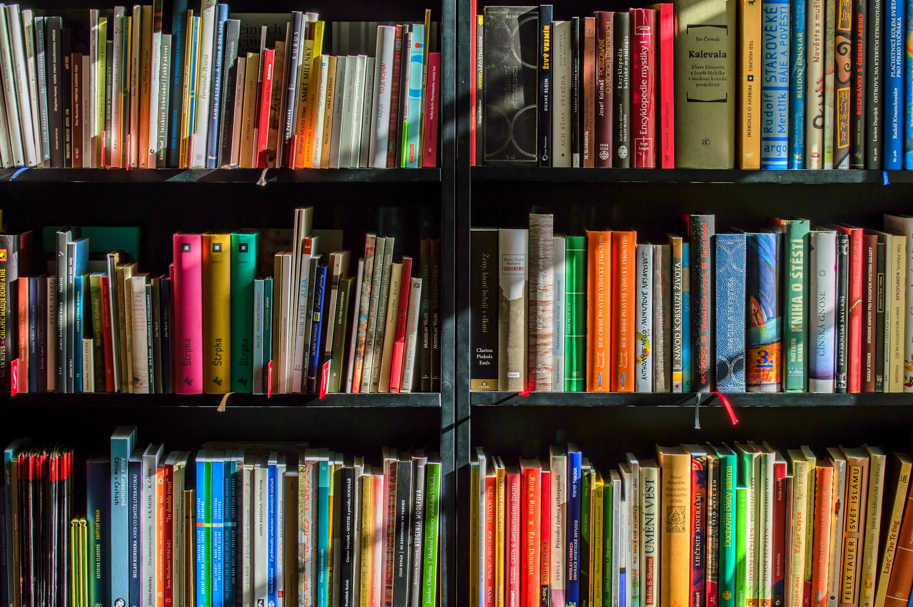 Three rows of books on bookshelves are shown.